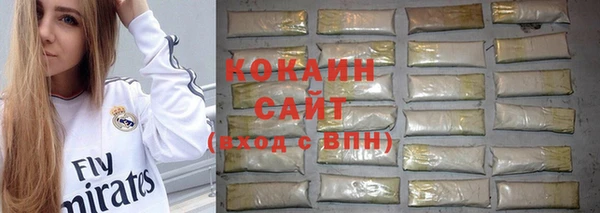 кокс Ельня