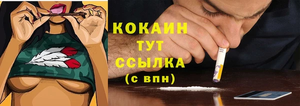 СК Елабуга
