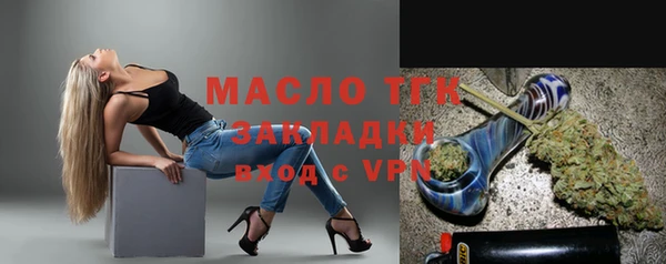 кокс Ельня