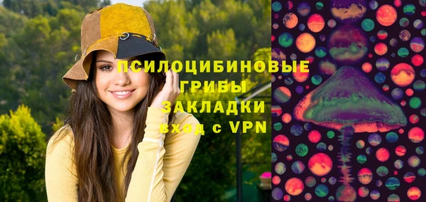 кокс Ельня