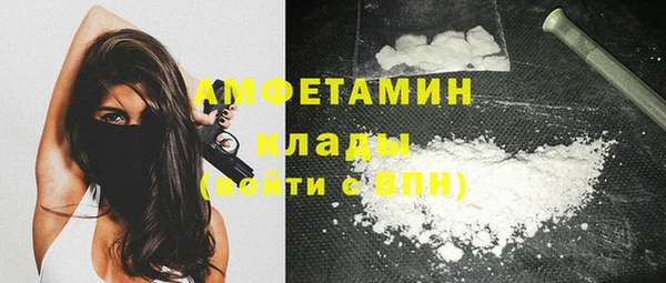 шишки Нязепетровск