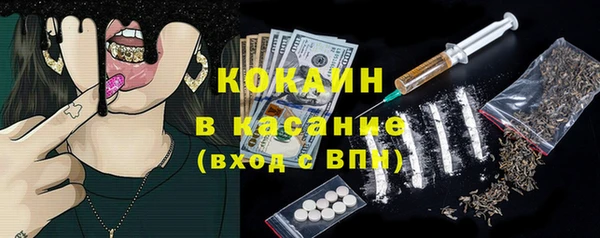 кокс Ельня