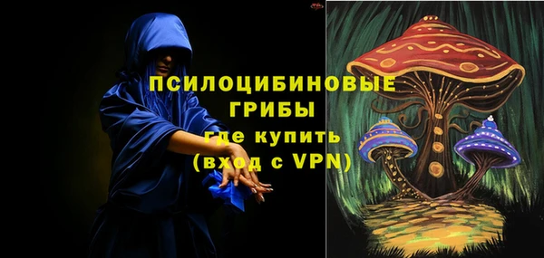 СК Елабуга