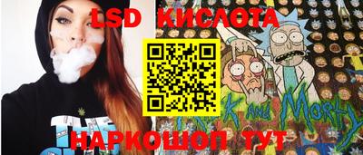 гашик Кандалакша