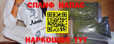 гашик Кандалакша