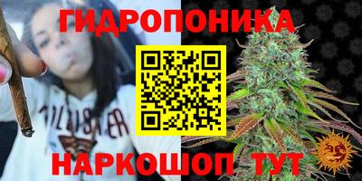 тгк Канаш