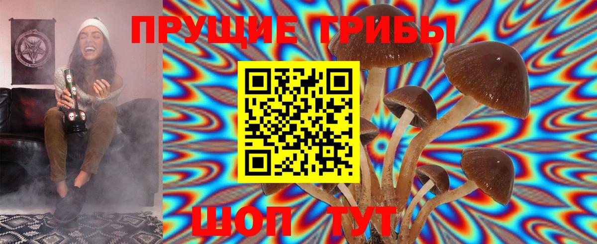 Галлюциногенные грибы Cubensis Зеленокумск