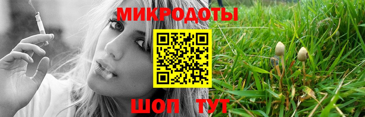 Псилоцибиновые грибы MAGIC MUSHROOMS  Псилоцибиновые грибы GOLDEN TEACHER  Вход с VPN  купить наркотики цена  Зеленокумск 