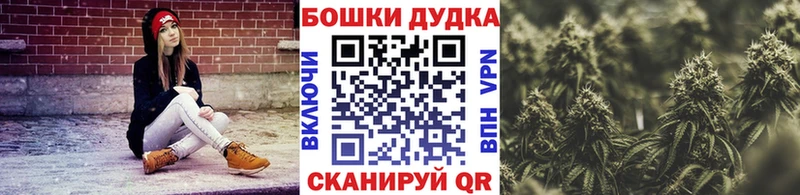 Шишки марихуана Amnesia  как найти   мега ссылки  Зеленокумск 