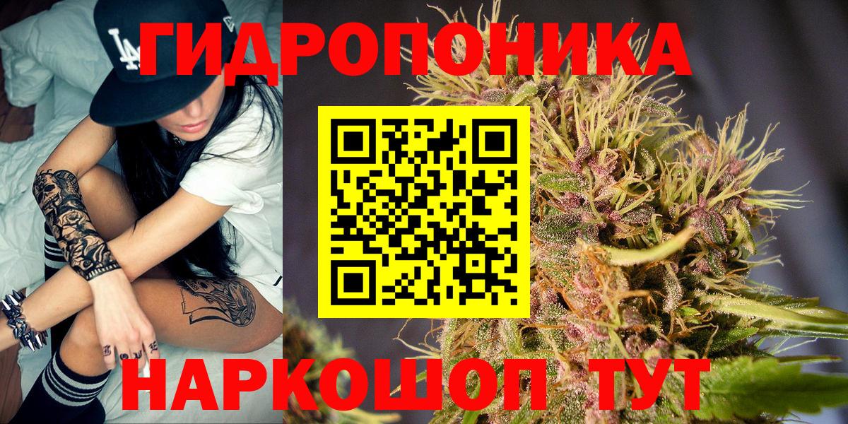 Канабис индика  Каннабис семена  Конопля семена  Вход с VPN  Марихуана THC 21%  Зеленокумск 